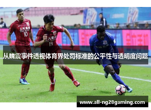 从魏震事件透视体育界处罚标准的公平性与透明度问题