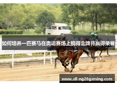 如何培养一匹赛马在奥运赛场上摘得金牌并赢得荣誉