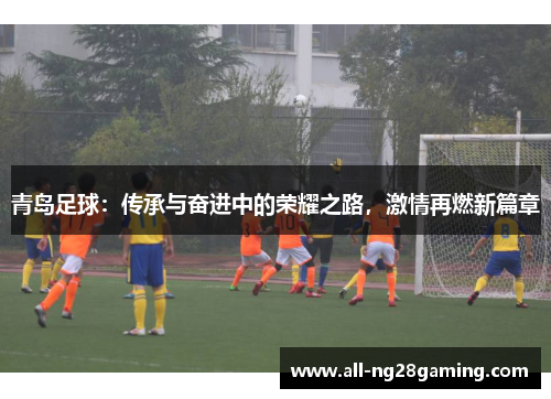 青岛足球：传承与奋进中的荣耀之路，激情再燃新篇章